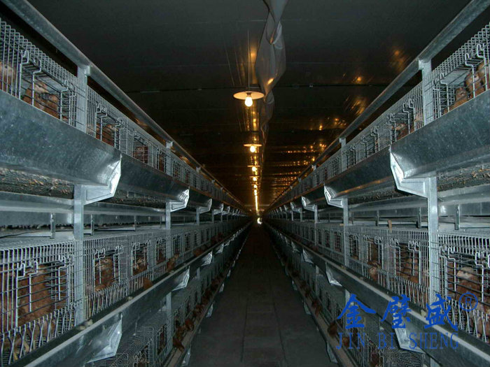 ���r���ɻ\��