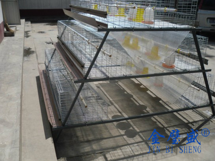 ���r���ɻ\3