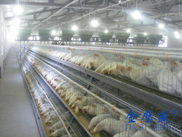 �A��ʽ�B(y��ng)�u�O(sh��)��-���u