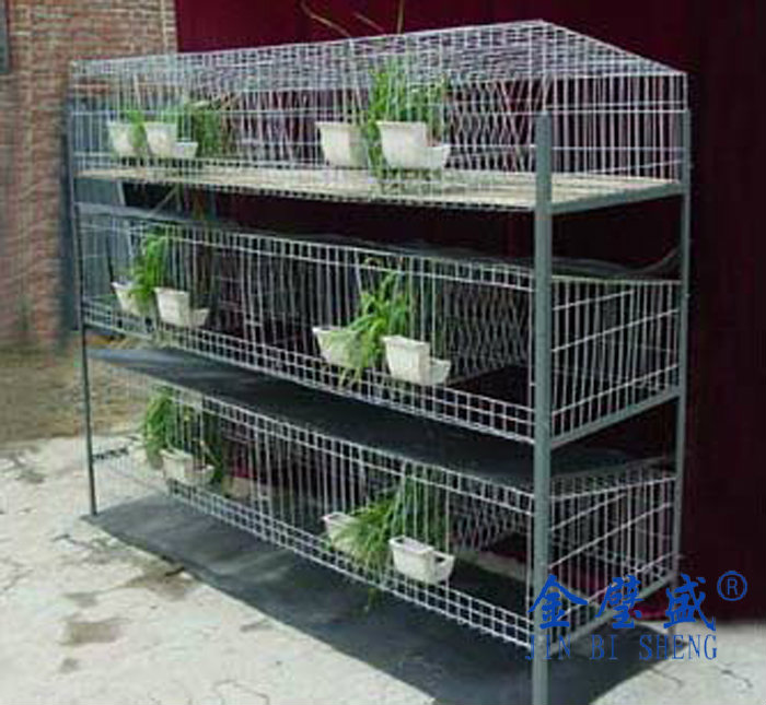 ���g�������