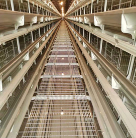 ���u�O(sh��)���Q����