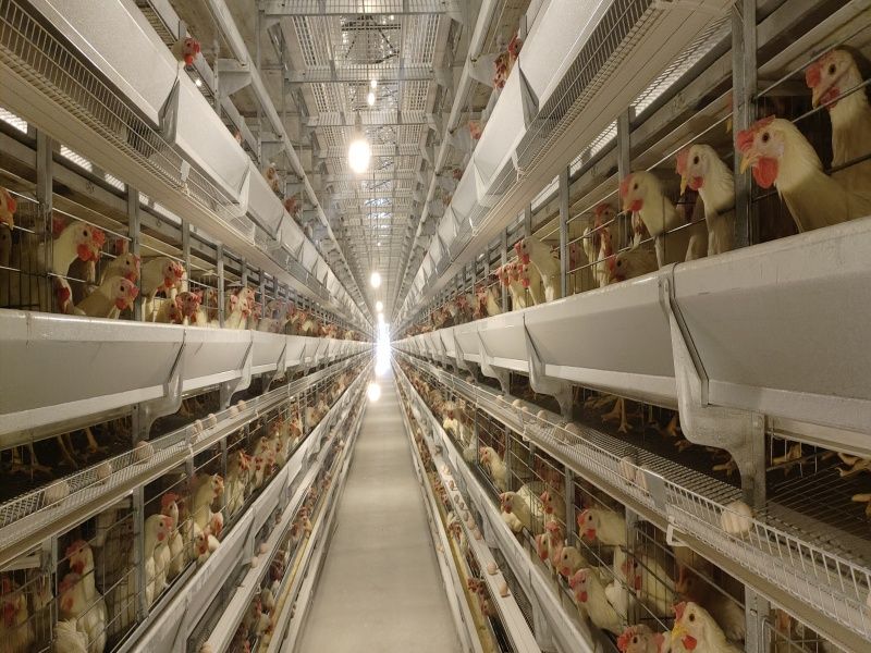 5��8�ӆΗ�ʮ�f���u