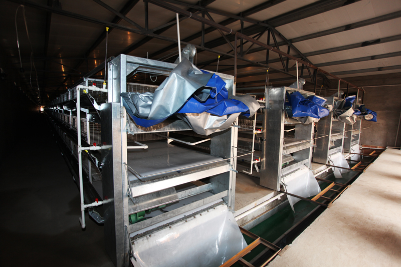 �Ԅ���Sϵ�y(t��ng)6