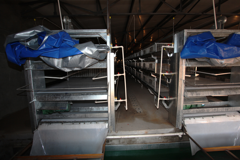 �Ԅ���Sϵ�y(t��ng)8